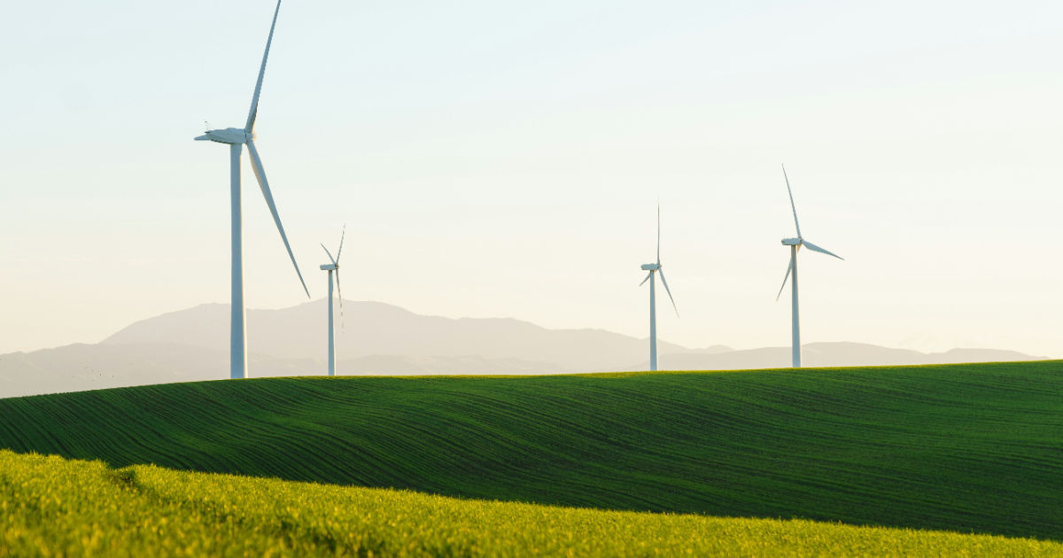 wind turbines on green fields